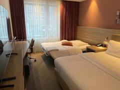 Zimmerbild 3