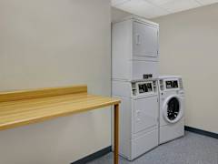 Zimmerbild 1