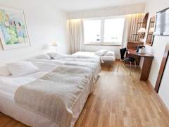 Zimmerbild 3