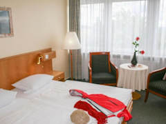 Zimmerbild 17