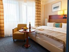 Zimmerbild 6