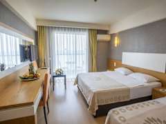 Zimmerbild 6