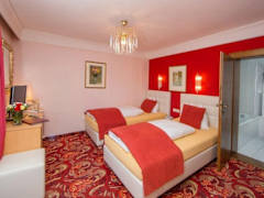 Zimmerbild 11