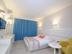 Zimmerbild 5