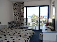 Zimmerbild 9
