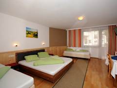 Zimmerbild 5