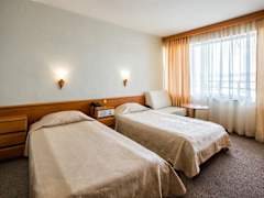Zimmerbild 11