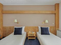 Zimmerbild 11