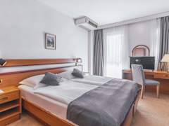 Zimmerbild 40