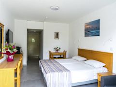 Zimmerbild 19