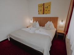 Zimmerbild 11