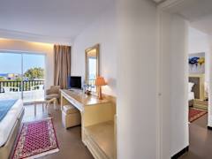Zimmerbild 13