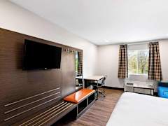 Zimmerbild 8