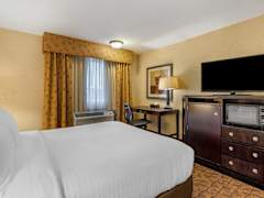 Zimmerbild 4