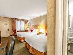 Zimmerbild 26
