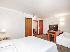 Zimmerbild 3