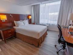 Zimmerbild 3