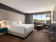 Zimmerbild 2