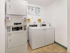 Zimmerbild 2