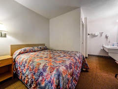 Zimmerbild 8