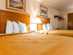 Zimmerbild 0