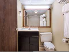 Zimmerbild 11