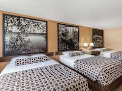 Zimmerbild 5
