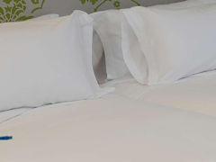 Zimmerbild 8