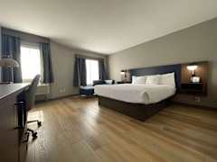 Zimmerbild 1