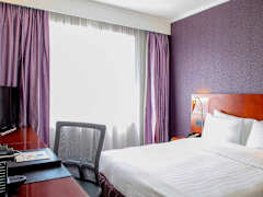 Zimmerbild 16