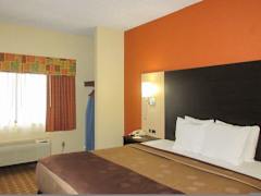 Zimmerbild 11
