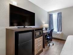 Zimmerbild 2