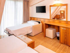 Zimmerbild 15