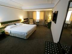 Zimmerbild 12