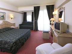 Zimmerbild 13