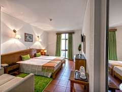 Zimmerbild 11
