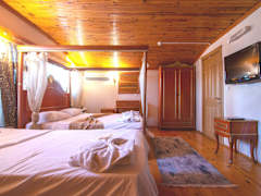 Zimmerbild 44
