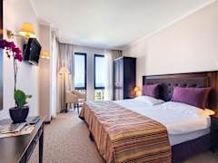 Zimmerbild 11