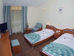Zimmerbild 29