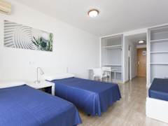 Zimmerbild 19