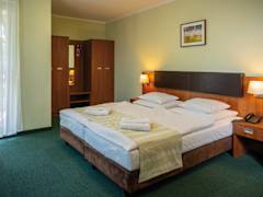 Zimmerbild 1