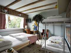 Zimmerbild 3