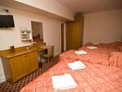 Zimmerbild 16