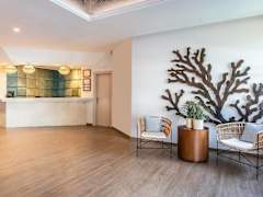 Zimmerbild 29