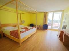 Zimmerbild 6