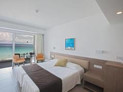 Zimmerbild 44