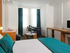 Zimmerbild 13