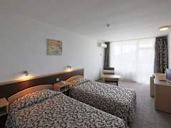 Zimmerbild 21