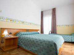 Zimmerbild 33