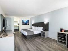 Zimmerbild 21